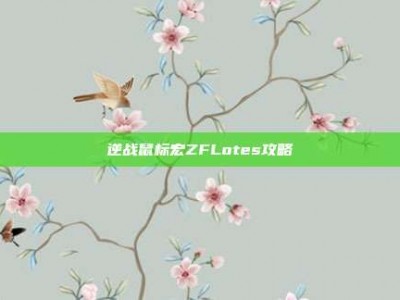 逆战鼠标宏ZFLotes攻略