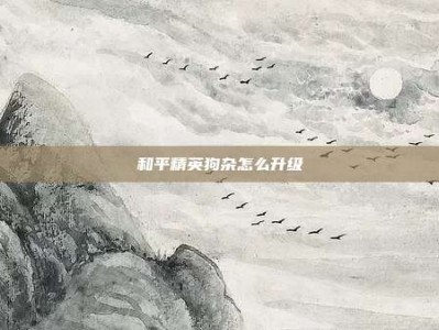 和平精英狗杂怎么升级