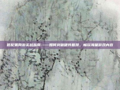 低配置网游实战指南——如何突破硬件瓶颈，畅玩海量游戏内容