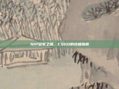 NIP冠军之路，CSGO的终极指南
