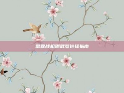 雷霆战机副武器选择指南