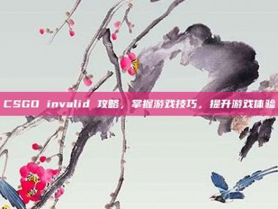 CSGO invalid 攻略，掌握游戏技巧，提升游戏体验