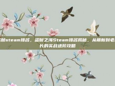 盗贼steam排名，盗贼之海Steam排名揭秘，从萌新到老船长的实战进阶攻略