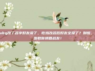 pubg改了名字好友没了，吃鸡改名后好友全没了？别慌，三步教你捞回战友！
