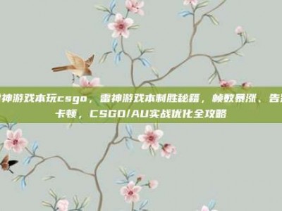 雷神游戏本玩csgo，雷神游戏本制胜秘籍，帧数暴涨、告别卡顿，CSGO/AU实战优化全攻略