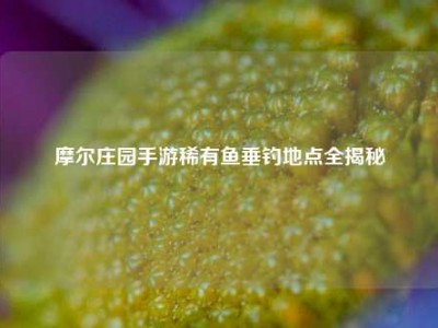 摩尔庄园手游稀有鱼垂钓地点全揭秘
