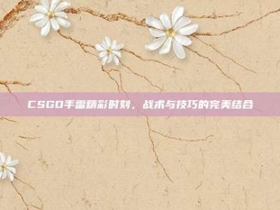 CSGO手雷精彩时刻，战术与技巧的完美结合