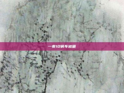 一夜10辆车被砸