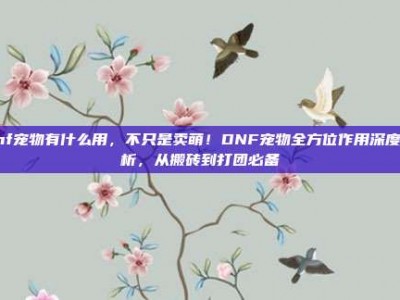 dnf宠物有什么用，不只是卖萌！DNF宠物全方位作用深度解析，从搬砖到打团必备