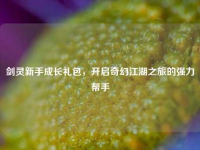 剑灵新手成长礼包，开启奇幻江湖之旅的强力帮手