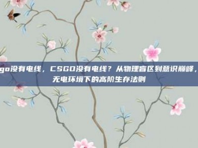 csgo没有电线，CSGO没有电线？从物理盲区到意识巅峰，论无电环境下的高阶生存法则