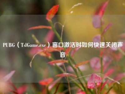 PUBG（TslGame.exe）窗口激活时如何快速关闭声音