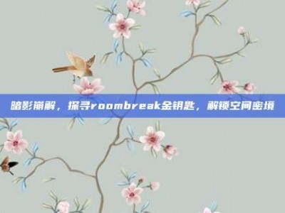 暗影崩解，探寻roombreak金钥匙，解锁空间密境