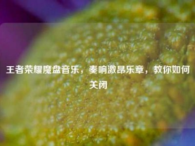 王者荣耀魔盘音乐，奏响激昂乐章，教你如何关闭