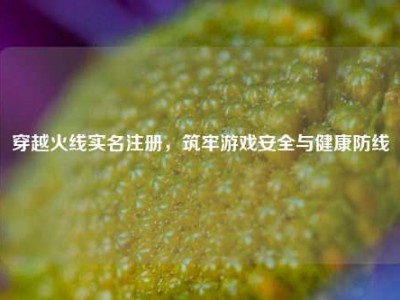 穿越火线实名注册，筑牢游戏安全与健康防线