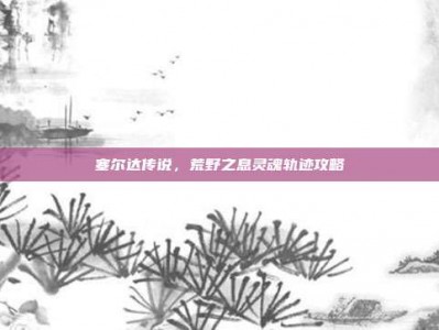 塞尔达传说，荒野之息灵魂轨迹攻略