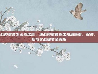 逆战陨星套怎么输出高，逆战陨星套输出拉满指南，配装、连招与实战细节全解析