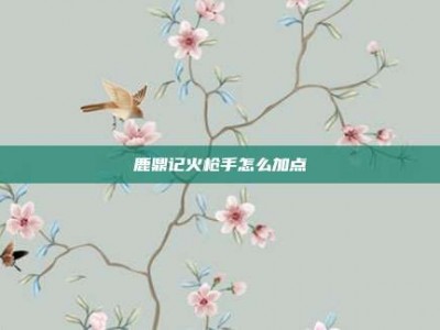 鹿鼎记火枪手怎么加点