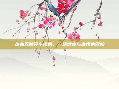 热血无赖开车视角，一场速度与激情的冒险