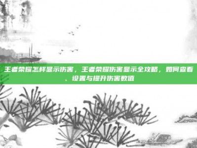 王者荣耀怎样显示伤害，王者荣耀伤害显示全攻略，如何查看、设置与提升伤害数值