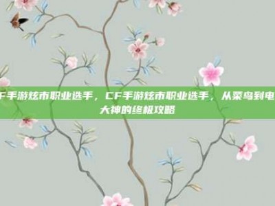 CF手游炫市职业选手，CF手游炫市职业选手，从菜鸟到电竞大神的终极攻略