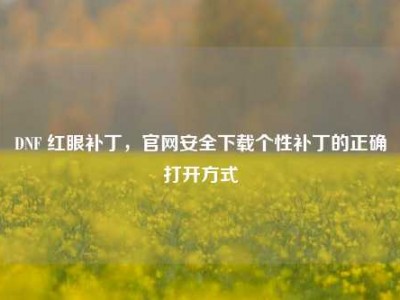 DNF 红眼补丁，官网安全下载个性补丁的正确打开方式