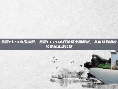 金冠cf28高压油泵，金冠CF28高压油泵全面解析，从维修到调校的硬核实战攻略