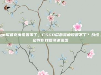 csgo屏幕亮度设置不了，CSGO屏幕亮度设置不了？别慌，5步教你找回清晰画面