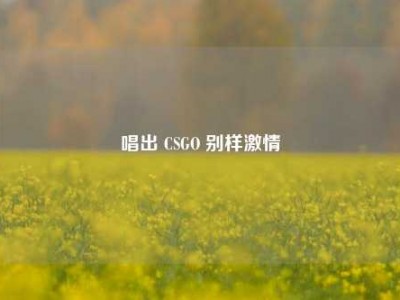 唱出 CSGO 别样激情