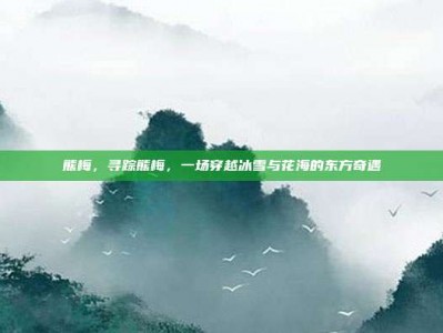 熊梅，寻踪熊梅，一场穿越冰雪与花海的东方奇遇