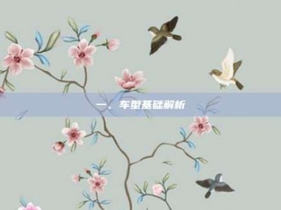 一、车型基础解析