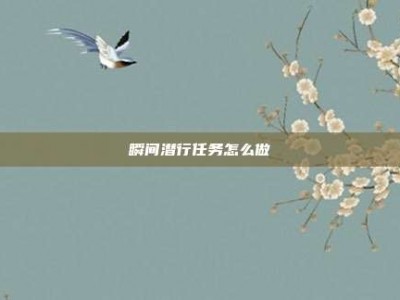 瞬间潜行任务怎么做