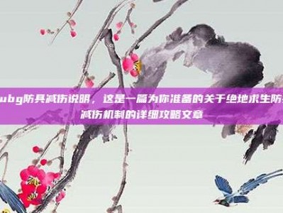 pubg防具减伤说明，这是一篇为你准备的关于绝地求生防具减伤机制的详细攻略文章