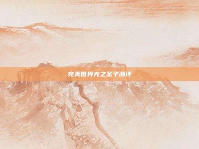 完美世界光之圣子测评