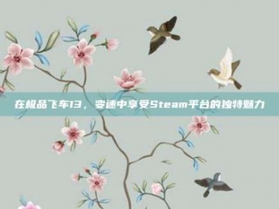 在极品飞车13，变速中享受Steam平台的独特魅力