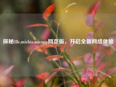 探秘18c.micbiz.micapp网页版，开启全新网络体验