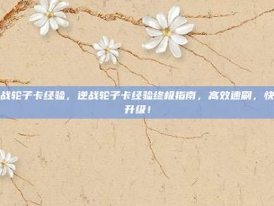 逆战轮子卡经验，逆战轮子卡经验终极指南，高效速刷，快速升级！