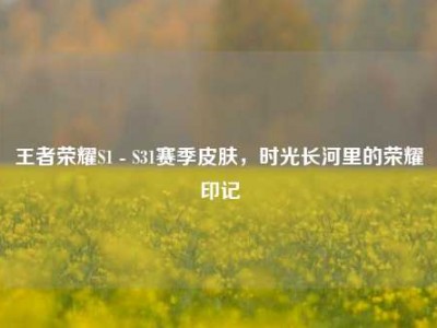 王者荣耀S1 - S31赛季皮肤，时光长河里的荣耀印记