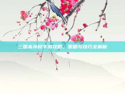 三国杀孙权手游攻略，策略与技巧全解析