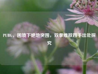 PUBG，困境下绝地突围，双拳难敌四手出处探究