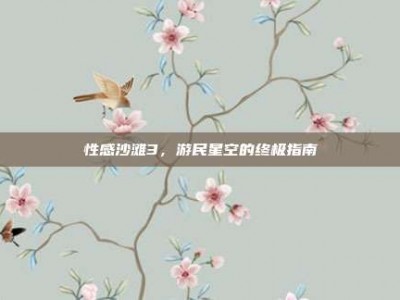 性感沙滩3，游民星空的终极指南