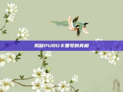 揭秘PUBG卡黑号的真相