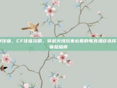 cf住宿，CF住宿攻略，穿越火线玩家必看的电竞酒店选择与体验指南