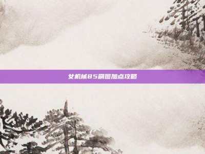 女机械85刷图加点攻略