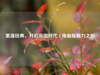 重温经典，开启帝国时代 3 电脑版魅力之旅