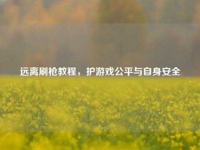 远离刷枪教程，护游戏公平与自身安全