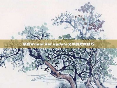 掌握Woool.dat.update文件的更新技巧
