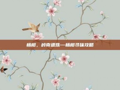 杨柑，岭南遗珠—杨柑寻味攻略