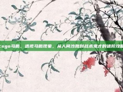 csgo马鹏，透视马鹏现象，从人间沙鹰到战术鬼才的进阶攻略