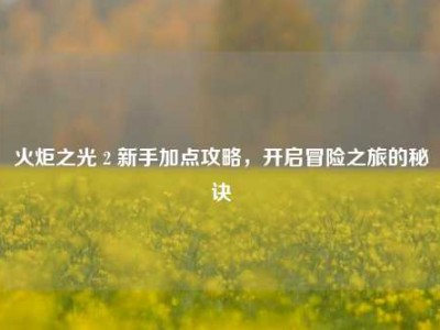 火炬之光 2 新手加点攻略，开启冒险之旅的秘诀